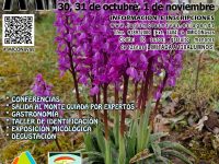 Jornadas Micológicas Las Navas del Marqués