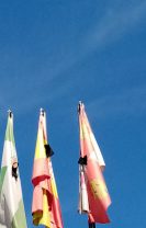 Decreto declarando luto oficial COVID-19